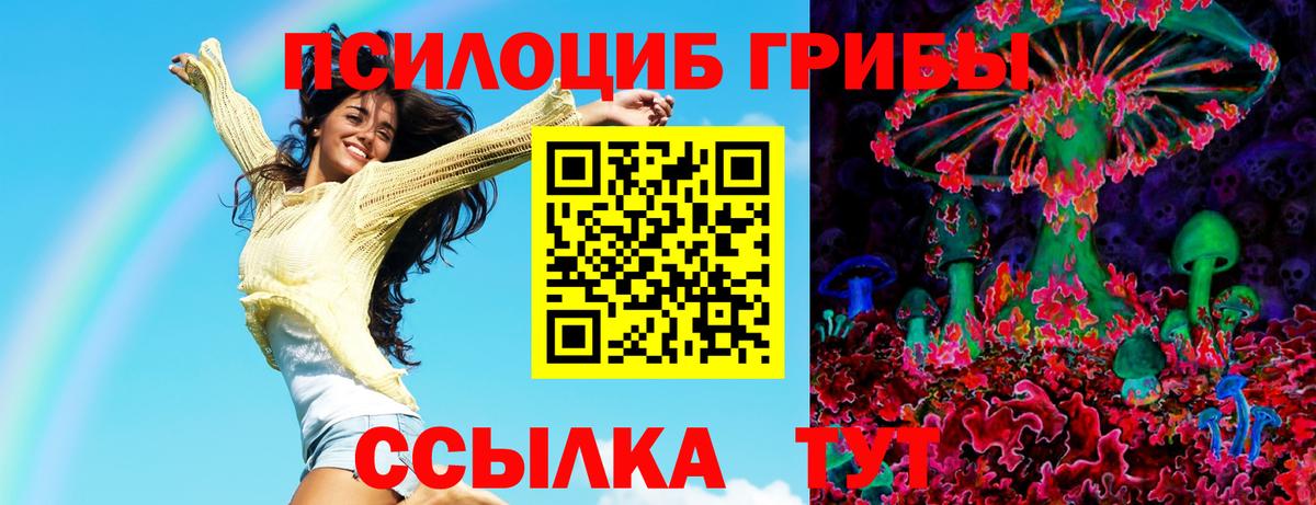 Ульяновск  Галлюциногенные грибы GOLDEN TEACHER  Вход с VPN  Галлюциногенные грибы Psilocybine cubensis 
